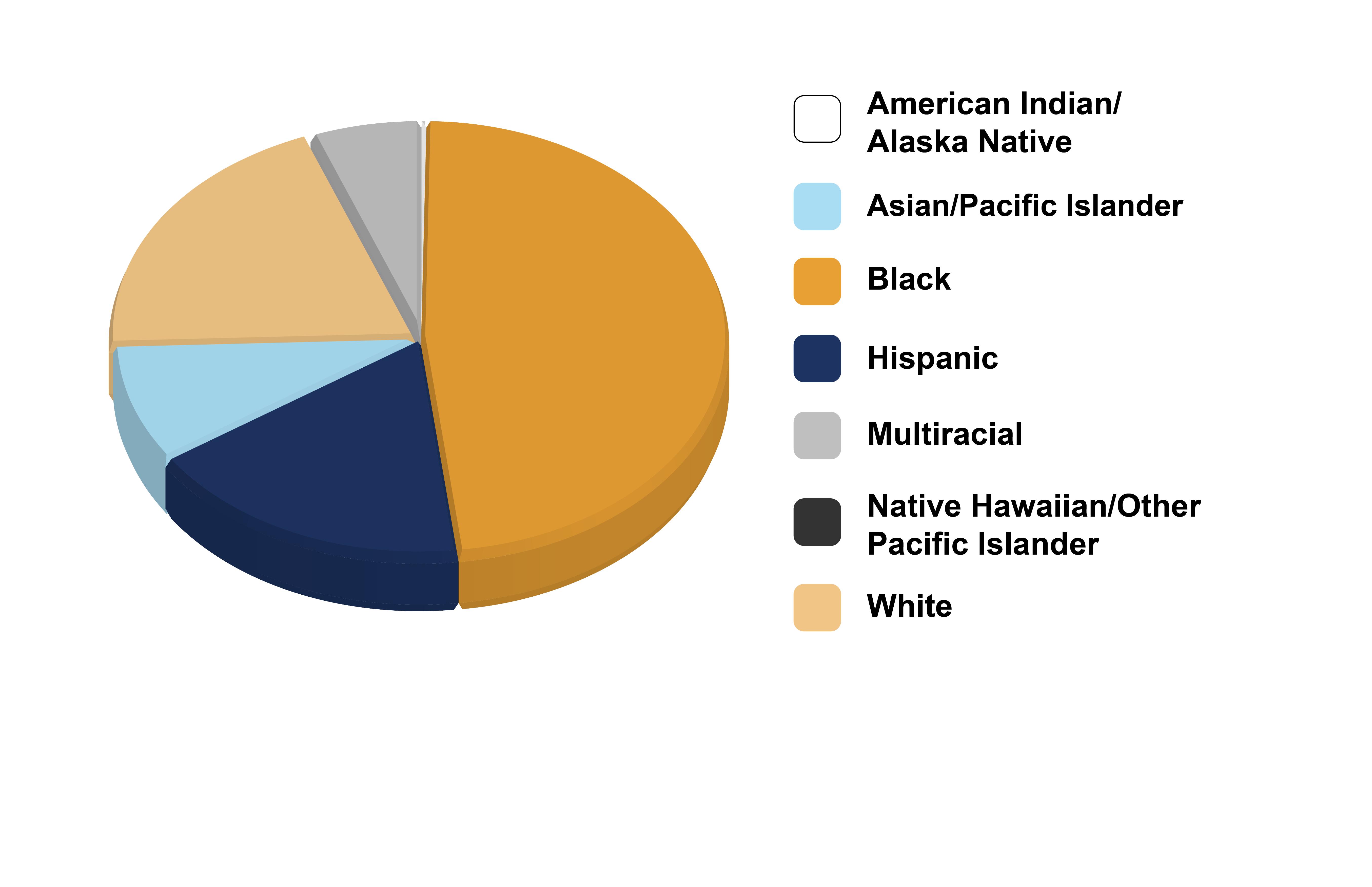 Pie chart showing the ethnicity of district students.