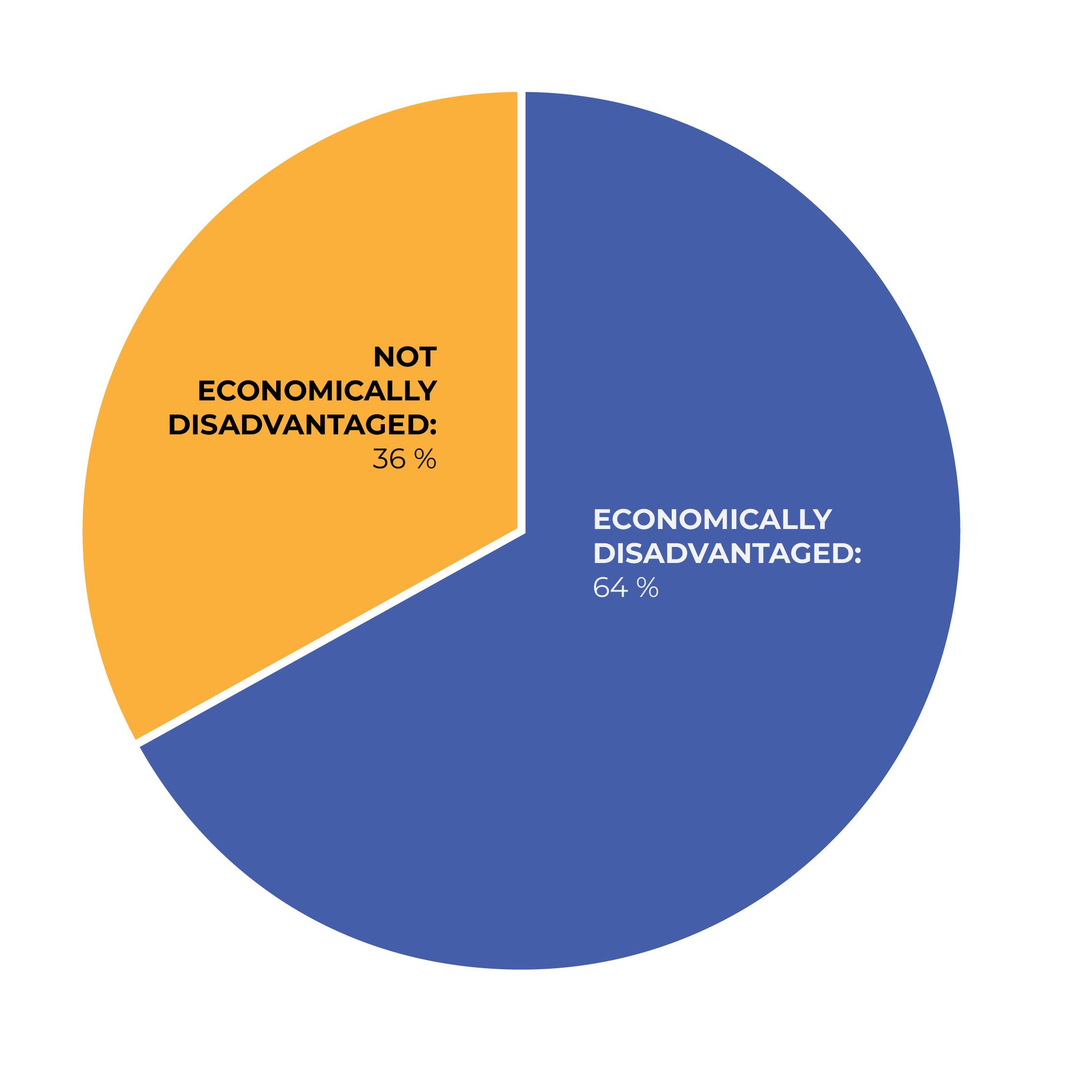 Pie chart showing breakdown of economically disadvantaged students in the district